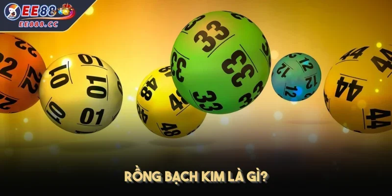 Rồng bạch kim là gì?